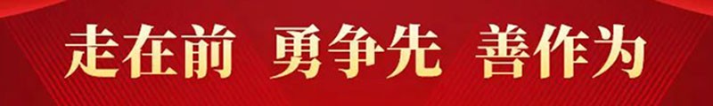 显示相关图片