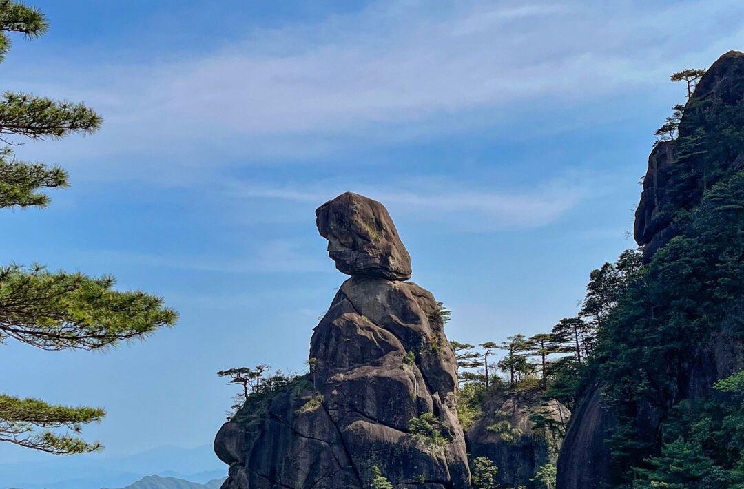 显示相关图片